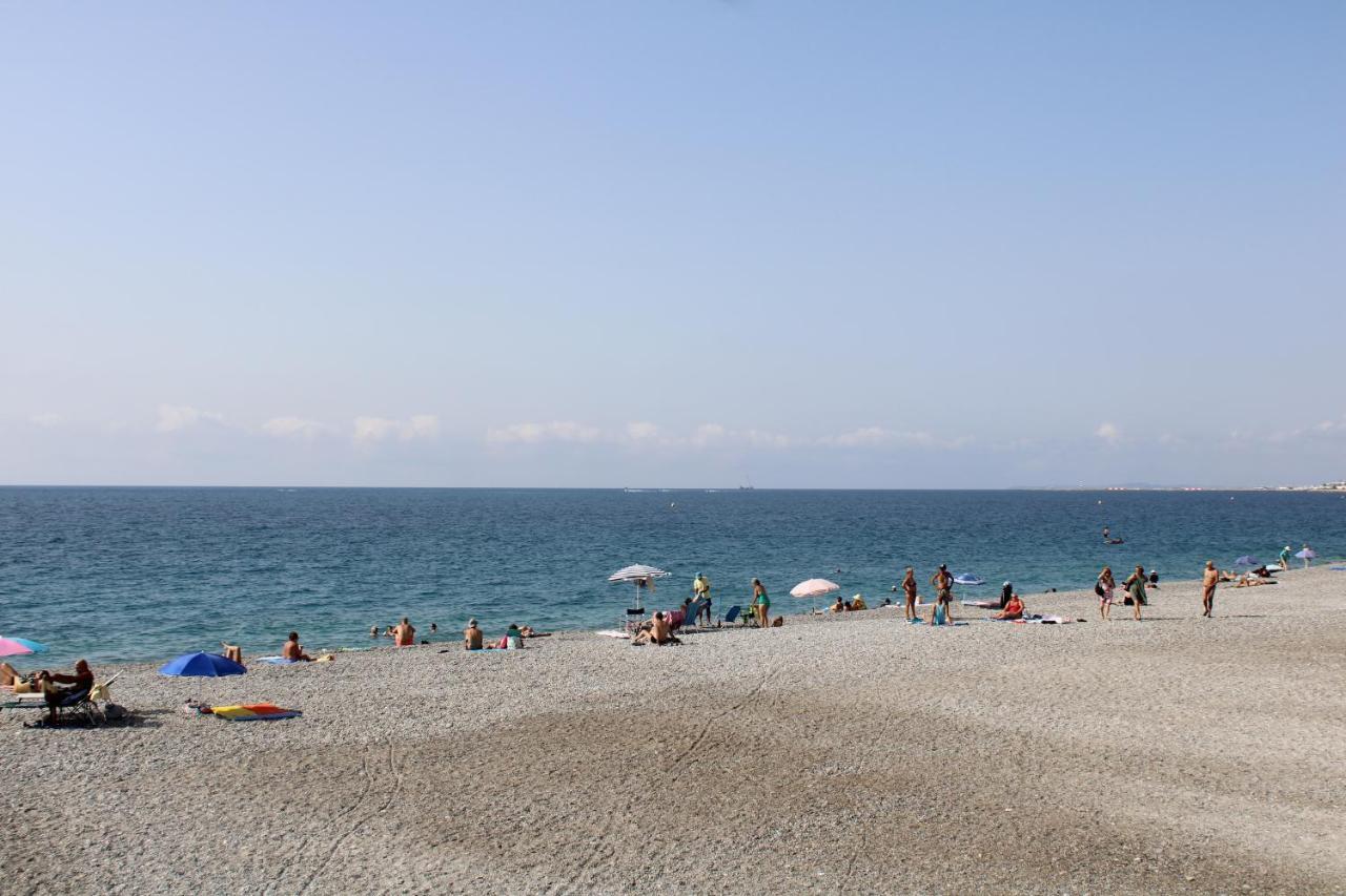 Le Grand Sud Lägenhet Nice Exteriör bild